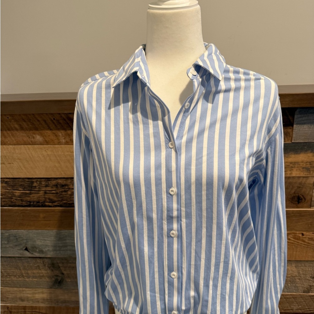Classic Blue Stripe Button-Down Shirt